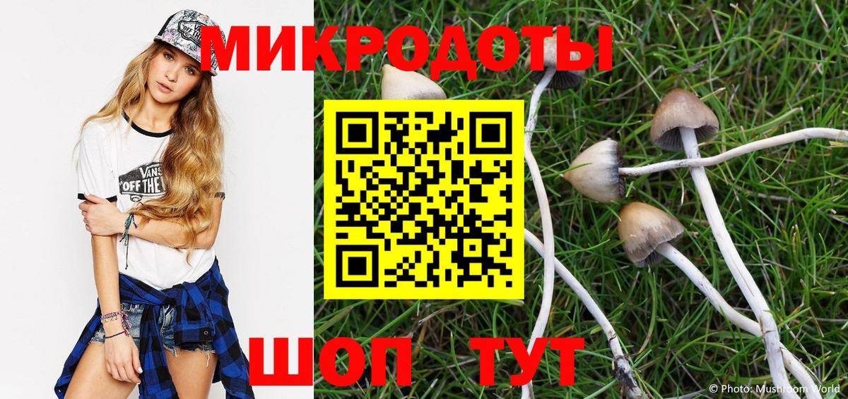 Галлюциногенные грибы мицелий Россия