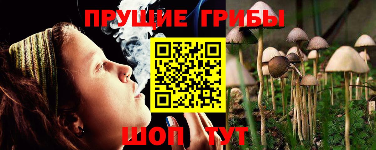 Псилоцибиновые грибы MAGIC MUSHROOMS  Вход с VPN  Россия 