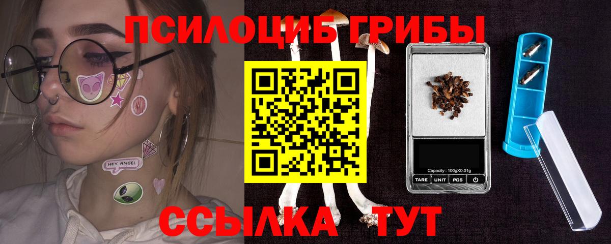 Россия  наркотики  Вход с VPN  Галлюциногенные грибы MAGIC MUSHROOMS 