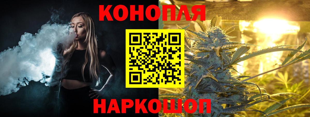 Бошки Шишки тримм Россия